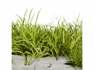 Collection plant vol 499 - blender model 3D 모델