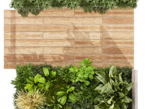 Collection plant vol 500 - Entrance - banana - wood - garden 3D Model