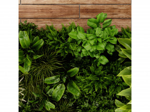 Collection plant vol 500 - blender model 3D 模型