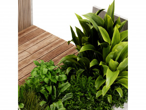 Collection plant vol 500 - blender model 3D 模型