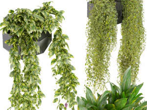 Collection plant vol 501 - hanging- lavender - peace lily - pothos 3D Model