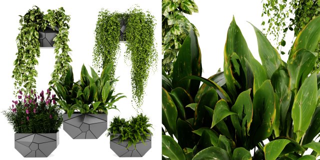Collection plant vol 501 - blender model 3D Model .c4d .max .obj .3ds .fbx .stl .blend 