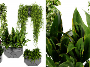 Collection plant vol 501 - blender model 3Dモデル