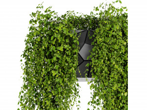 Collection plant vol 501 - blender model 3D Model