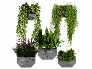 Collection plant vol 501 - blender model 3D Model