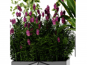 Collection plant vol 501 - blender model 3D Model