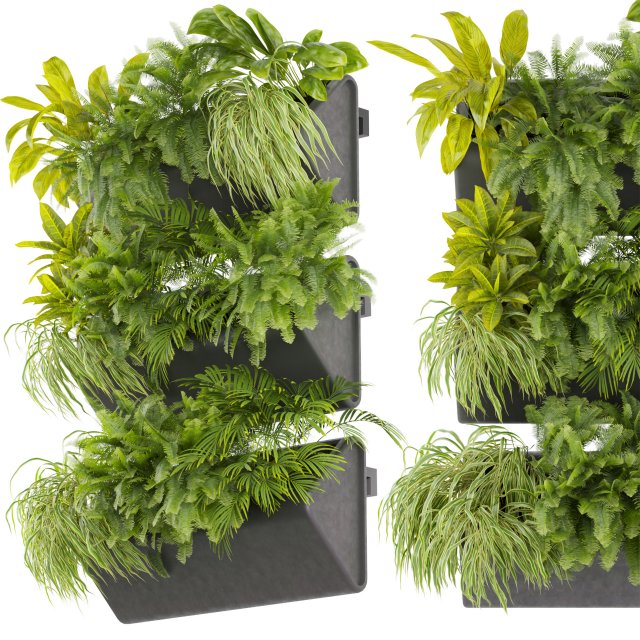 Collection plant vol 502 3D Модель .c4d .max .obj .3ds .fbx .stl .blend 