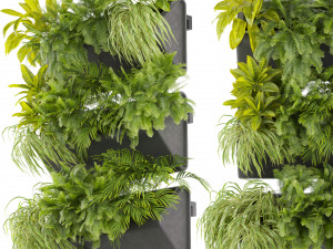 Collection plant vol 502 3D Model