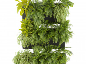 Collection plant vol 502 3D Модель