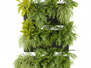 Collection plant vol 502 3D Model