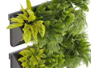 Collection plant vol 502 3D Model