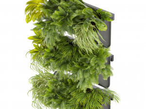 Collection plant vol 502 3D Модель