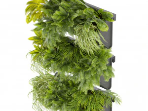 Collection plant vol 502 3D Model