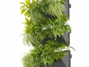 Collection plant vol 502 3D Model