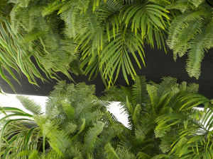 Collection plant vol 502 3D Model