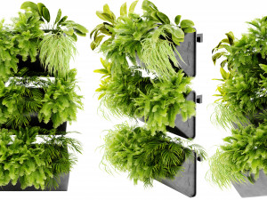 Collection plant vol 502 - blender model 3D Model