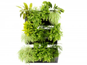 Collection plant vol 502 - blender model 3D Model
