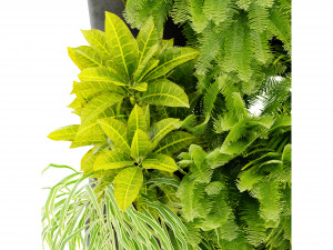 Collection plant vol 502 - blender model 3D 模型