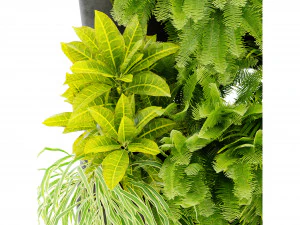 Collection plant vol 502 - blender model 3D Model