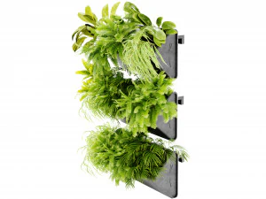 Collection plant vol 502 - blender model 3D Model