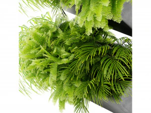Collection plant vol 502 - blender model 3D Model