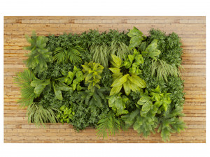 Collection plant vol 503 3D Модель