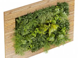 Collection plant vol 503 3D Модель