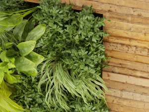 Collection plant vol 503 3D Модель