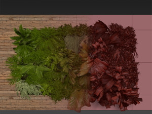 Collection plant vol 503 3D Модель