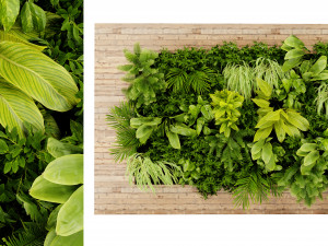 Collection plant vol 503 - blender model 3D Модель