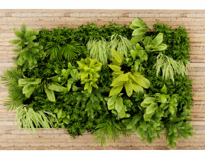 Collection plant vol 503 - blender model Modelo 3D