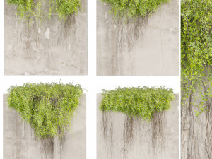 Collection plant vol 504 - fitowall - ivy - concrete 3D Модель