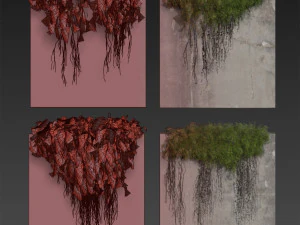 Plante de collection vol 504 - fitowall - lierre - b&eacute;ton Modèle 3D