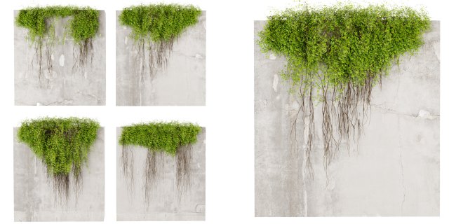 Collection plant vol 504 - blender model 3D Model .c4d .max .obj .3ds .fbx .stl .blend 