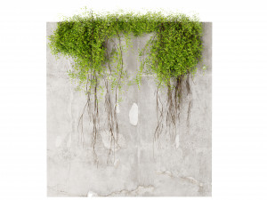 Collection plant vol 504 - blender model 3D Model
