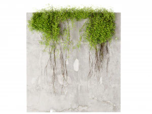 Collection plant vol 504 - blender model 3D Model