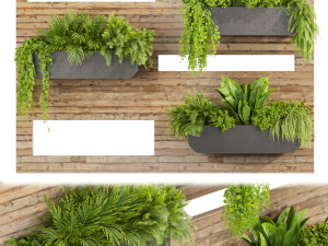Collection plant vol 505 - garden - leaf - fitowall - wood Modèle 3D