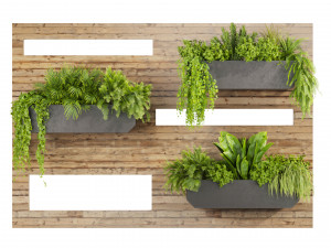 Collection plant vol 505 - garden - leaf - fitowall - wood 3D मॉडल