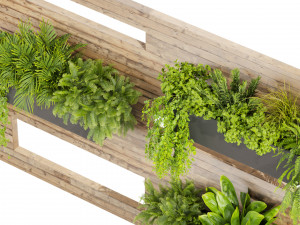 Collection plant vol 505 - garden - leaf - fitowall - wood 3D मॉडल
