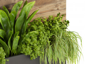 Collection plant vol 505 - garden - leaf - fitowall - wood 3D मॉडल