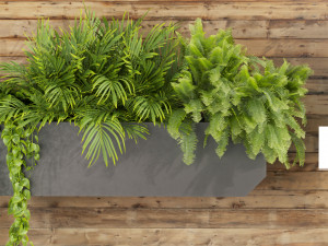 Collection plant vol 505 - garden - leaf - fitowall - wood 3D मॉडल