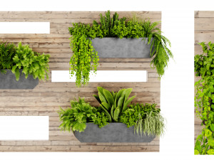 Collection plant vol 505 - blender model Modèle 3D