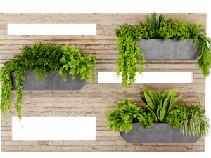 Collection plant vol 505 - blender model Modèle 3D