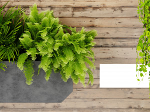Collection plant vol 505 - blender model Modèle 3D