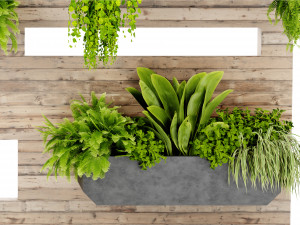 Collection plant vol 505 - blender model Modèle 3D