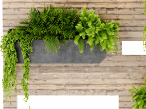 Collection plant vol 505 - blender model Modèle 3D