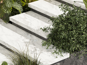 Collection plant vol 506 - Entrance - stair - garden Model 3D