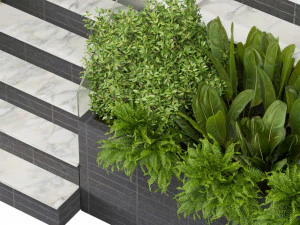 Plante de collection vol 507 - Entr&eacute;e - jardin - escalier Modèle 3D