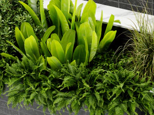 Collection plant vol 507 - blender model 3D Model