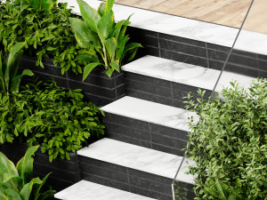 Collection plant vol 507 - blender model 3D Model